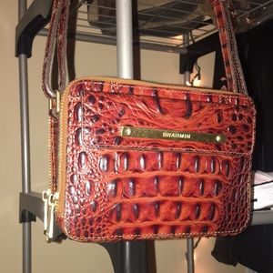 Brahmin Purse